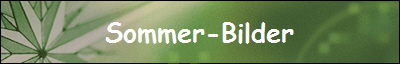 Sommer-Bilder