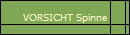 VORSICHT Spinne