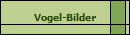 Vogel-Bilder