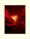 020_2zu3_gross