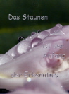 Das Staunen