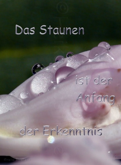 Das Staunen