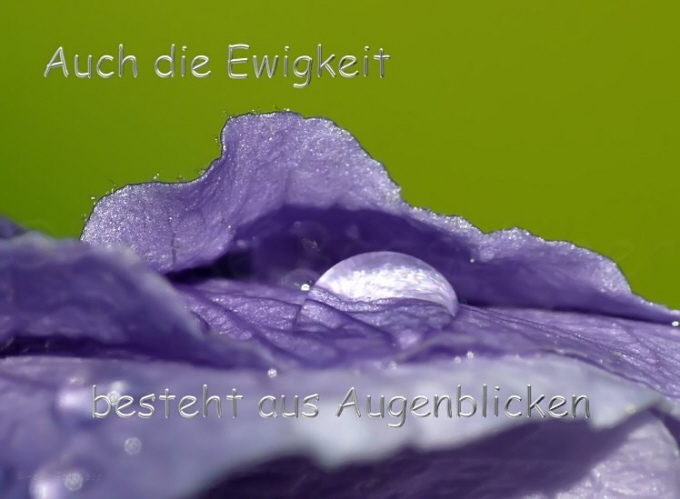 Auch die Ewigkeit