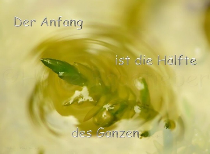 Der Anfang...