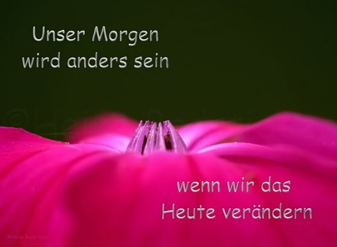 Unser Morgen